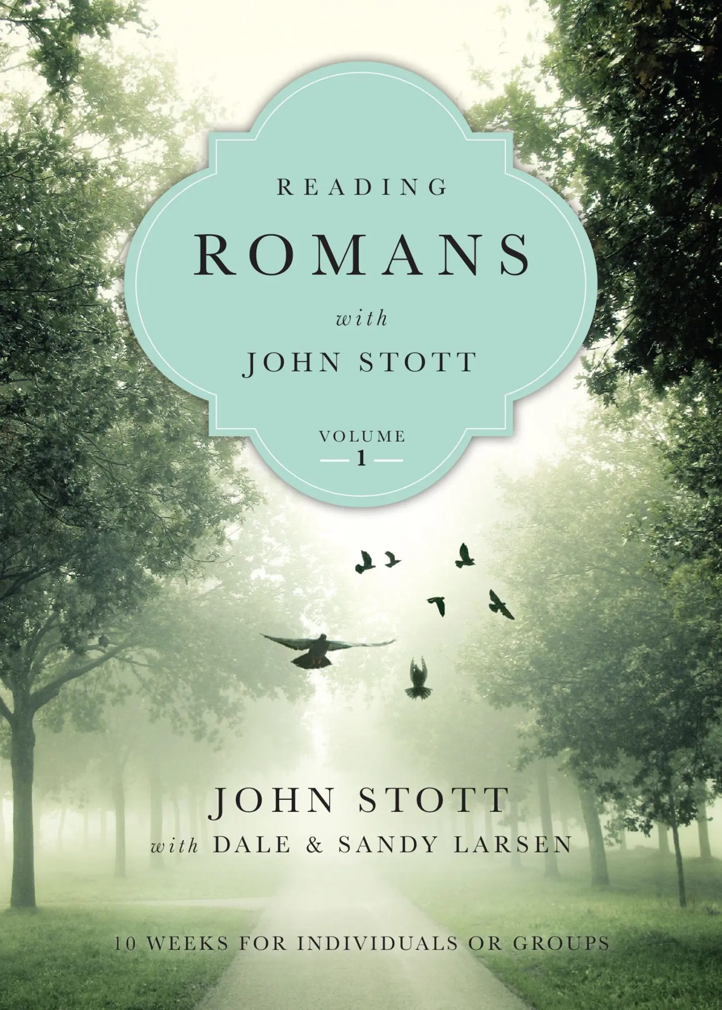 Cover: 9780830831913 | Reading Romans with John Stott | 10 Weeks for Individuals or Groups
