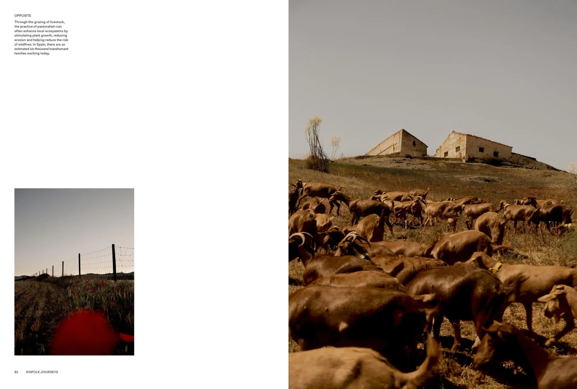 Bild: 9781648291913 | Kinfolk Journeys | John Burns | Buch | 256 S. | Englisch | 2024
