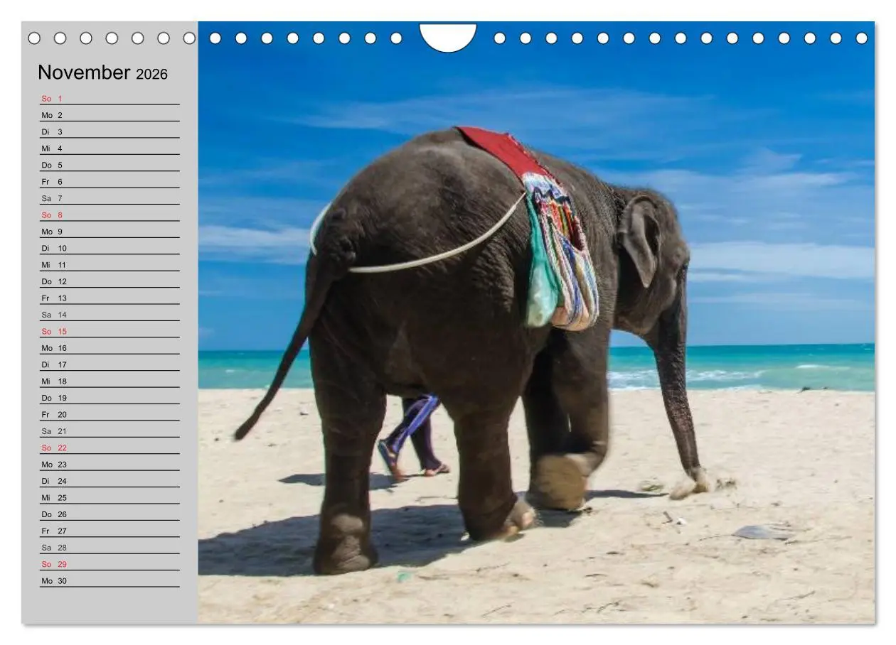 Bild: 9783516011913 | Elefanten. Spaß am Wasser (Wandkalender 2026 DIN A4 quer), CALVENDO...
