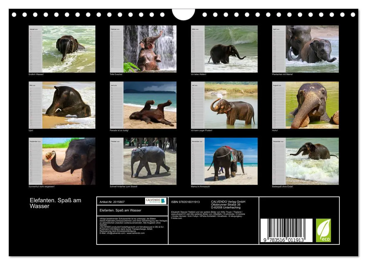 Bild: 9783516011913 | Elefanten. Spaß am Wasser (Wandkalender 2026 DIN A4 quer), CALVENDO...
