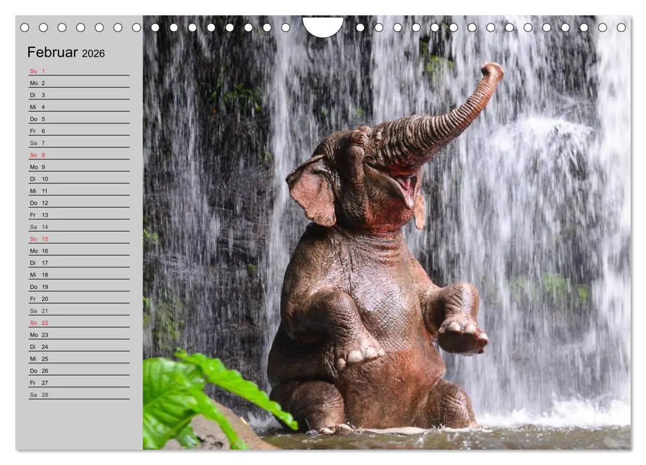 Bild: 9783516011913 | Elefanten. Spaß am Wasser (Wandkalender 2026 DIN A4 quer), CALVENDO...