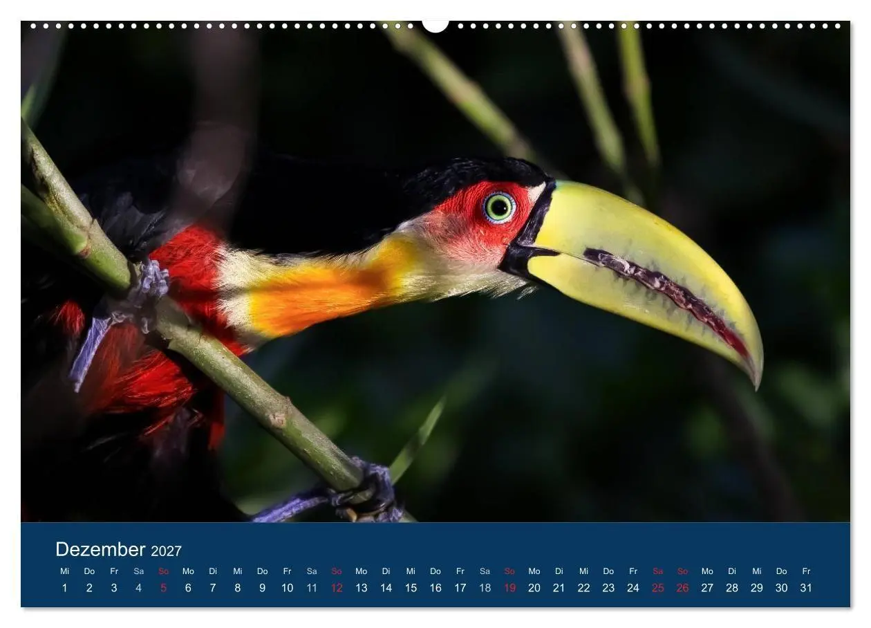 Bild: 9783594091913 | Brasilien tierisch gut 2027 (hochwertiger Premium Wandkalender 2027...