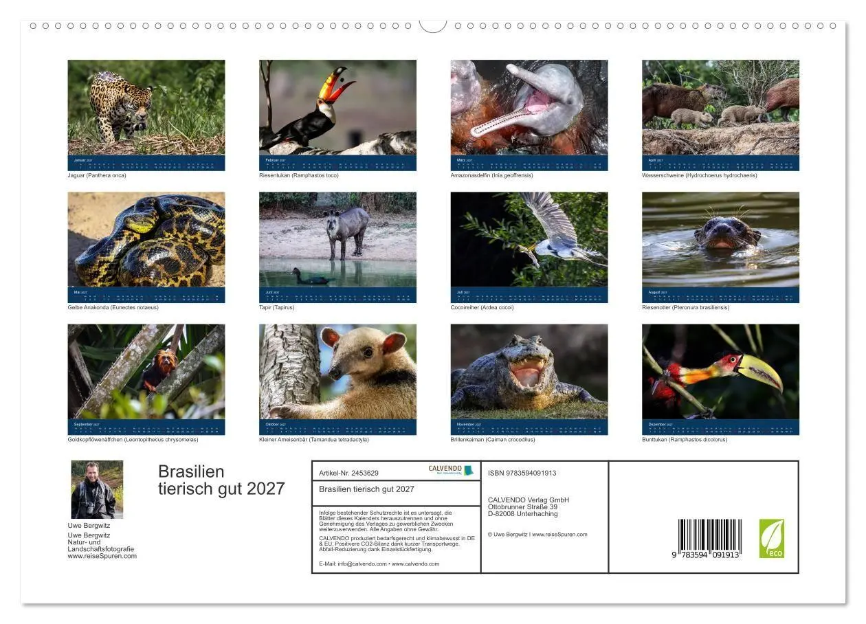 Bild: 9783594091913 | Brasilien tierisch gut 2027 (hochwertiger Premium Wandkalender 2027...