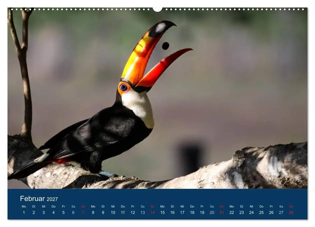 Bild: 9783594091913 | Brasilien tierisch gut 2027 (hochwertiger Premium Wandkalender 2027...