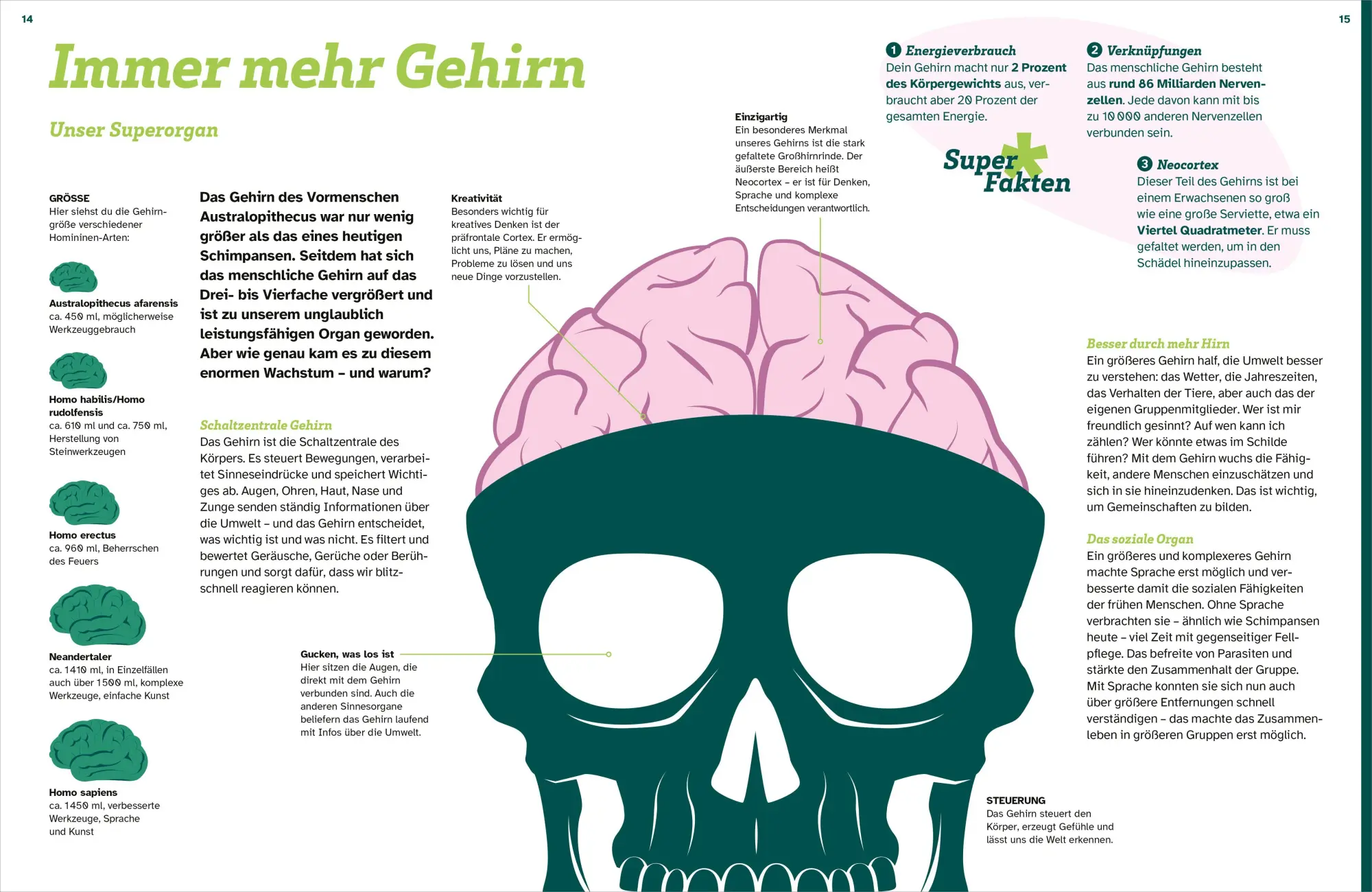 Bild: 9783788681913 | WAS IST WAS Der Mensch. Von der Steinzeit bis zu dir | Manfred Baur