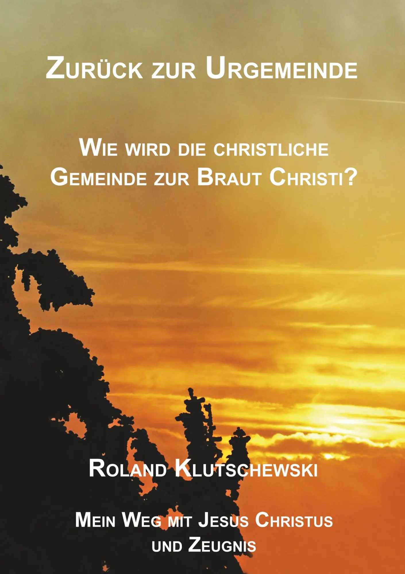 Cover: 9783868701913 | Zurück zur Urgemeinde | Roland Klutschewski | Taschenbuch | 266 S.
