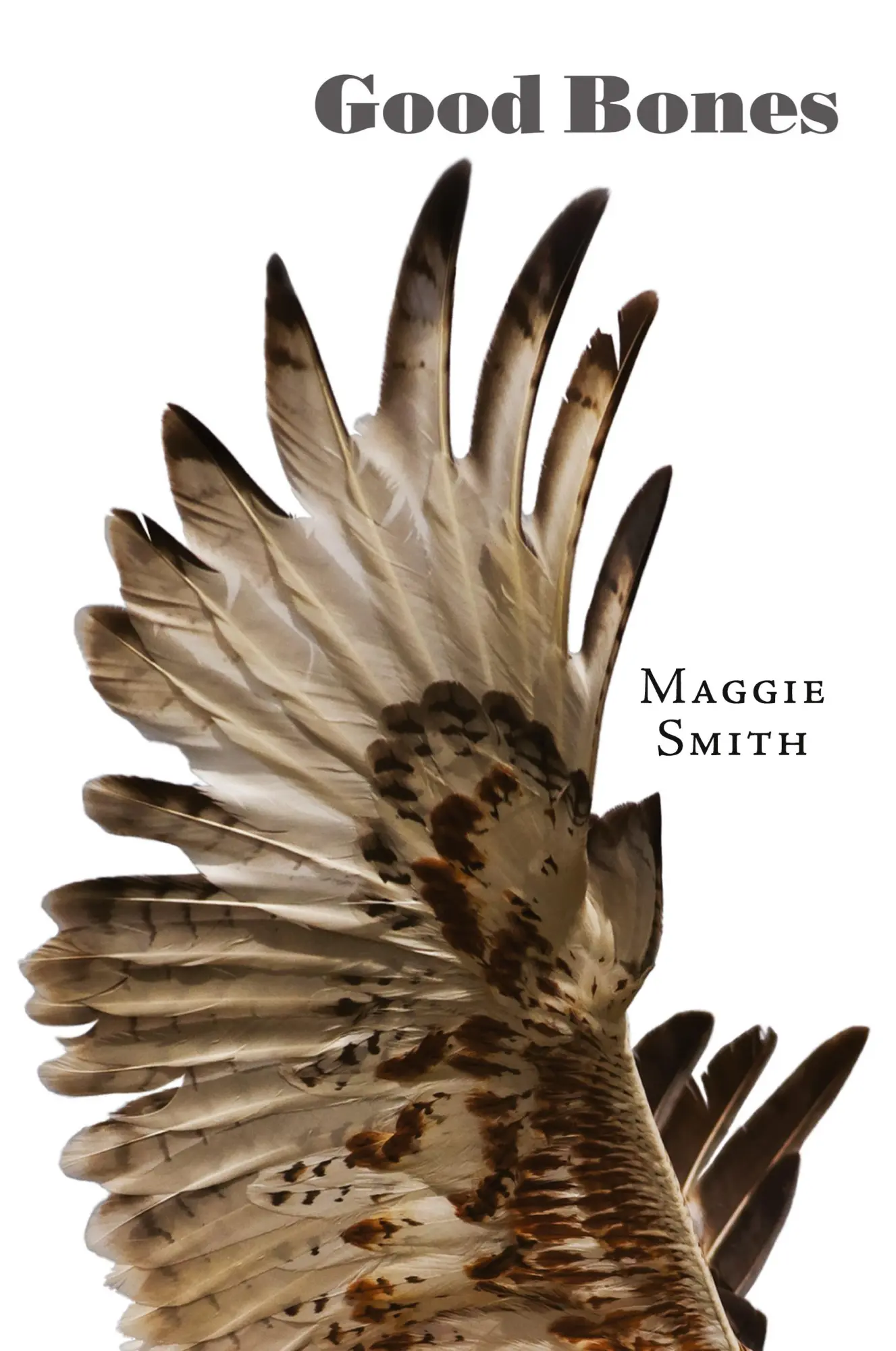 Cover: 9781946482013 | Good Bones | Maggie Smith | Taschenbuch | Kartoniert / Broschiert