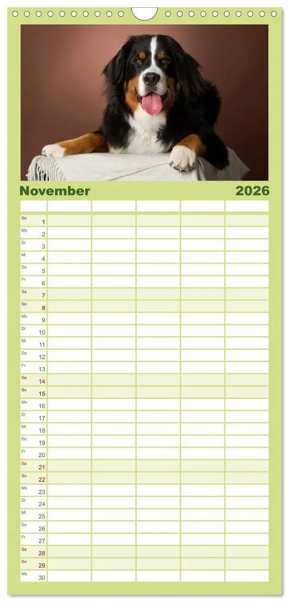 Bild: 9783516522013 | Familienplaner 2026 - Berner Sennenhunde mit 5 Spalten...
