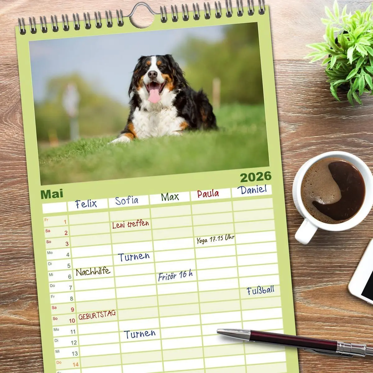 Bild: 9783516522013 | Familienplaner 2026 - Berner Sennenhunde mit 5 Spalten...