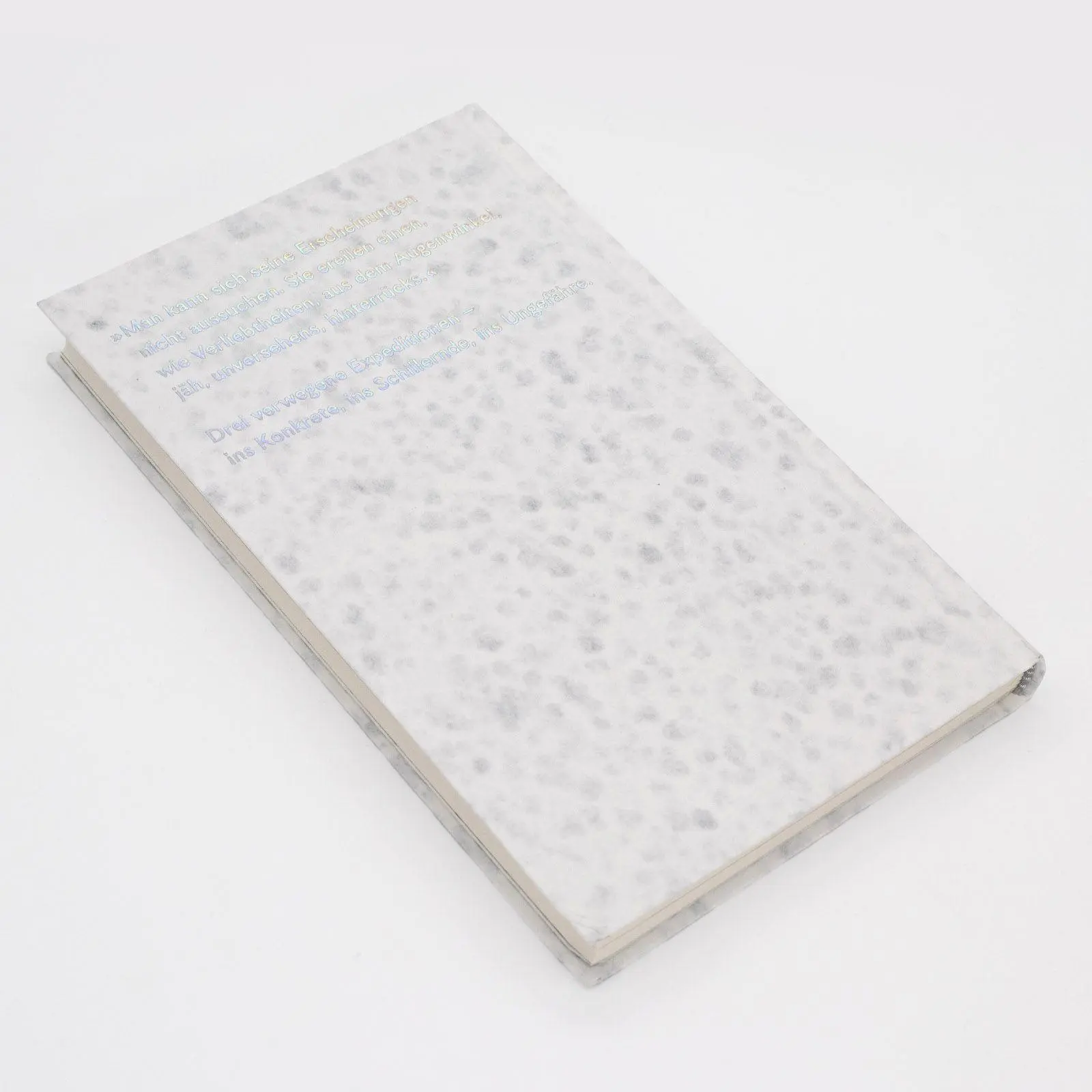 Bild: 9783518432013 | Marmor, Quecksilber, Nebel | Judith Schalansky | Buch | 176 S. | 2026