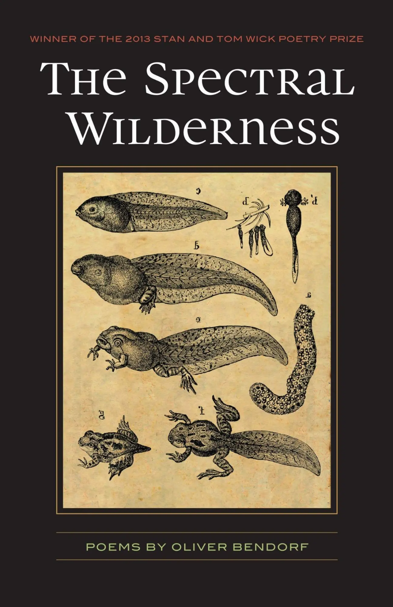 Cover: 9781606352113 | The Spectral Wilderness | Baez Bendorf | Taschenbuch | Englisch | 2015