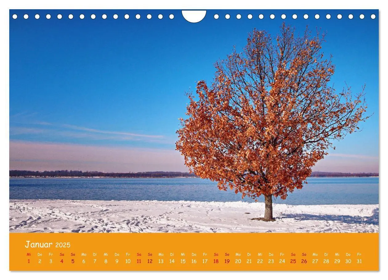 Bild: 9783383852213 | Mein Cospudener See (Wandkalender 2025 DIN A4 quer), CALVENDO...