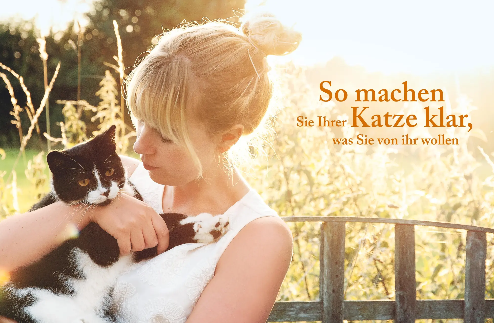 Bild: 9783833852213 | Katzensprache | Schritt für Schritt verstehen lernen | Gerd Ludwig