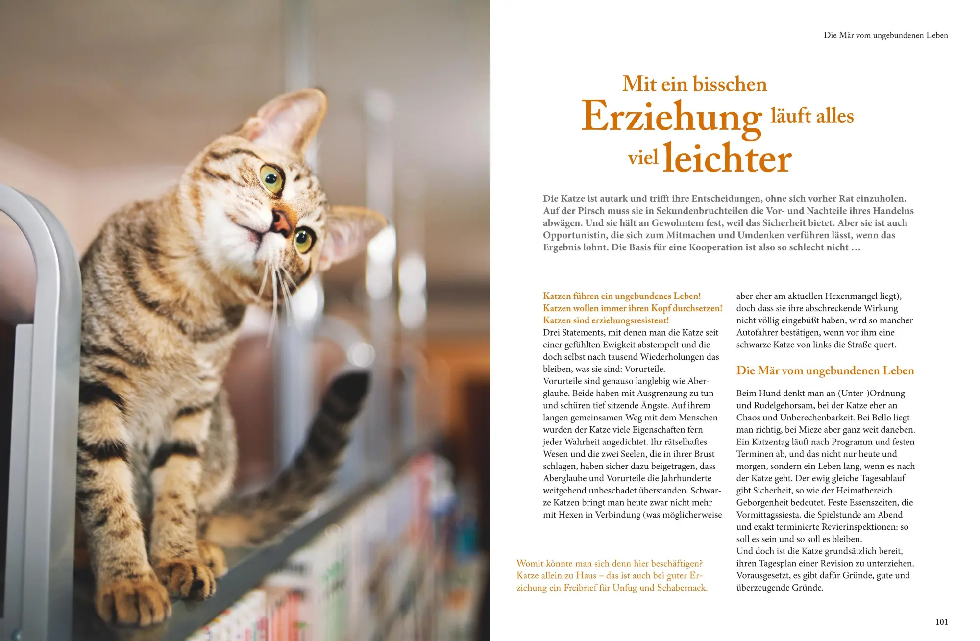 Bild: 9783833852213 | Katzensprache | Schritt für Schritt verstehen lernen | Gerd Ludwig