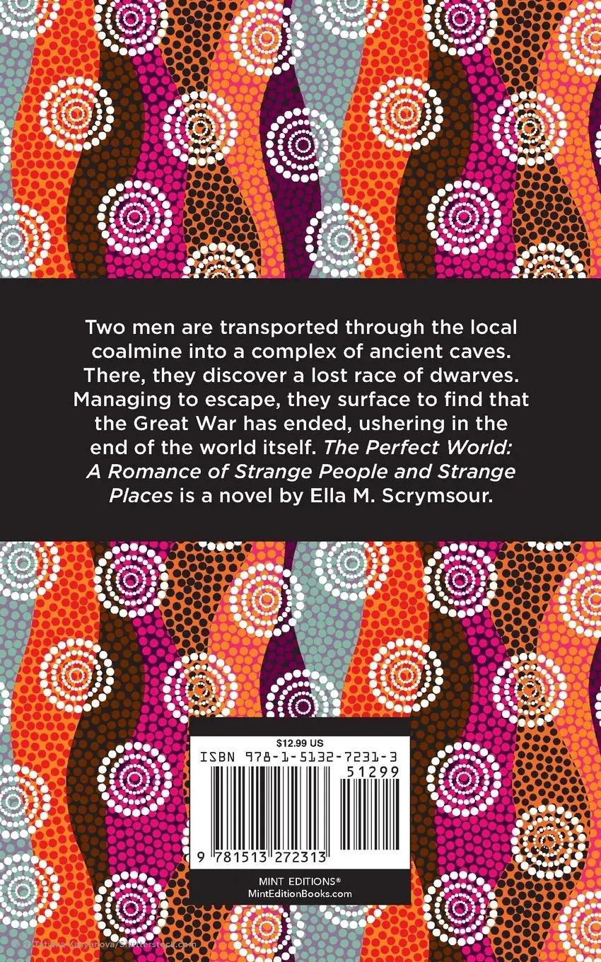 Rückseite: 9781513272313 | The Perfect World | Ella M. Scrymsour | Taschenbuch | Englisch | 2021