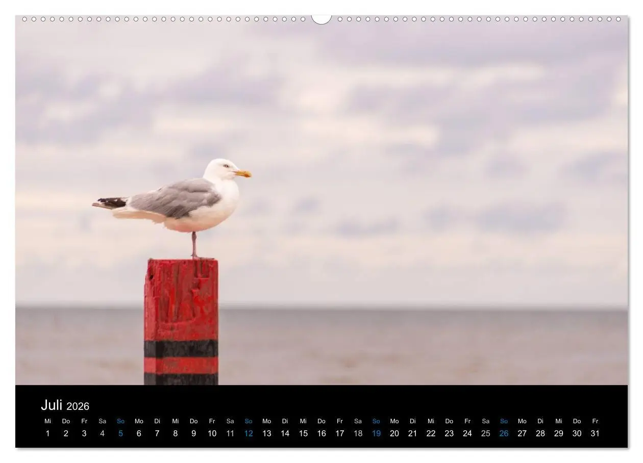 Bild: 9783457952313 | Grüße aus Texel (hochwertiger Premium Wandkalender 2026 DIN A2...