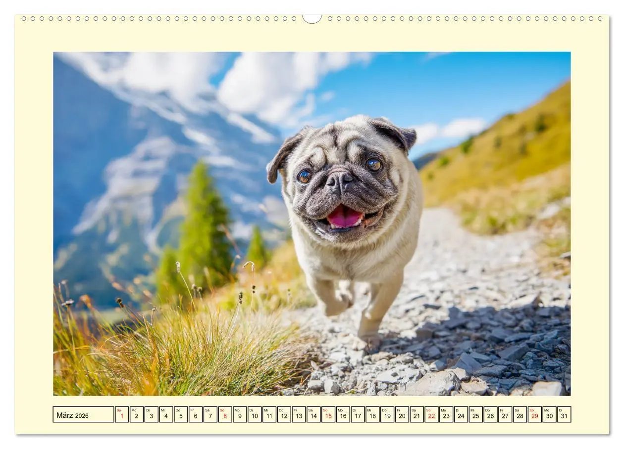 Bild: 9783457942413 | Mops trifft Berglust. Fidele Gipfelstürmer im Höhenrausch...