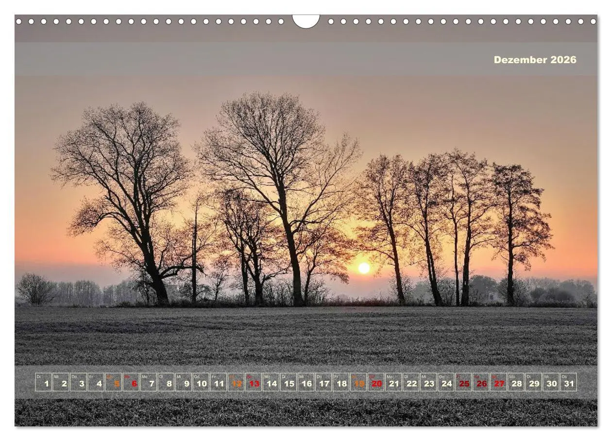 Bild: 9783457482513 | Licht im Land (Wandkalender 2026 DIN A3 quer), CALVENDO Monatskalender