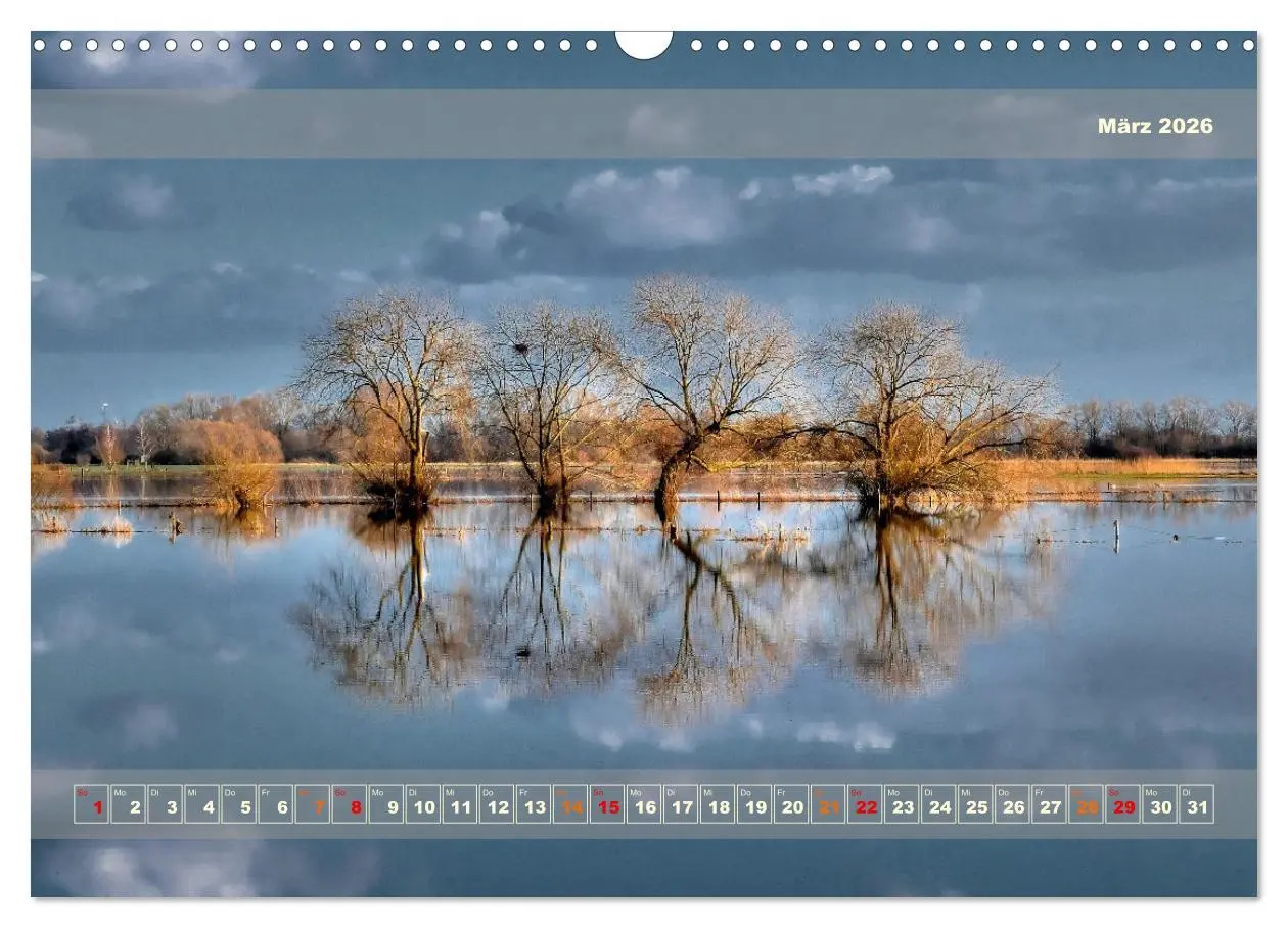 Bild: 9783457482513 | Licht im Land (Wandkalender 2026 DIN A3 quer), CALVENDO Monatskalender