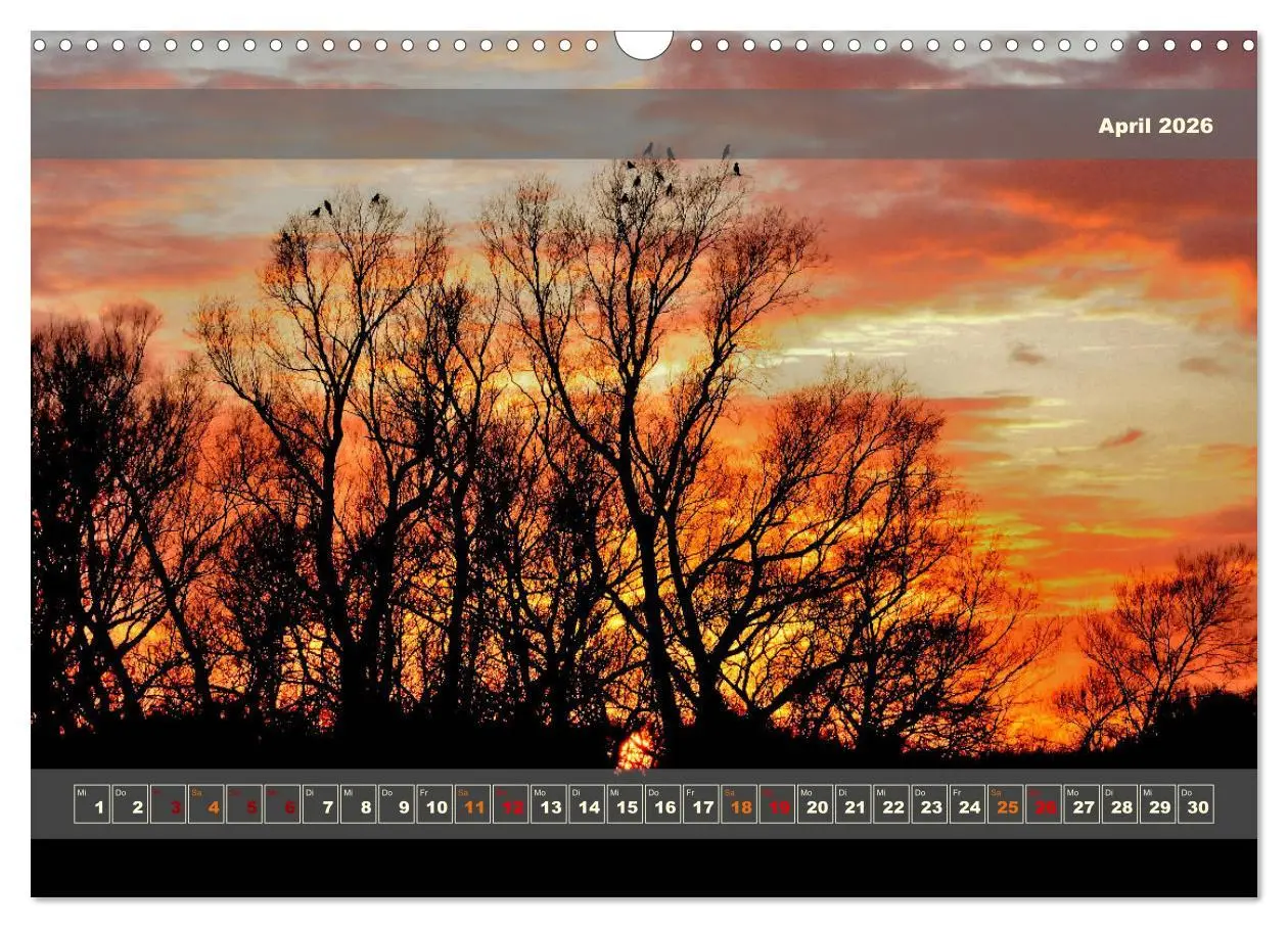 Bild: 9783457482513 | Licht im Land (Wandkalender 2026 DIN A3 quer), CALVENDO Monatskalender