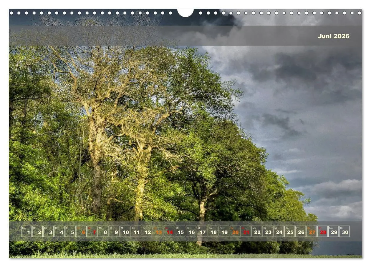 Bild: 9783457482513 | Licht im Land (Wandkalender 2026 DIN A3 quer), CALVENDO Monatskalender