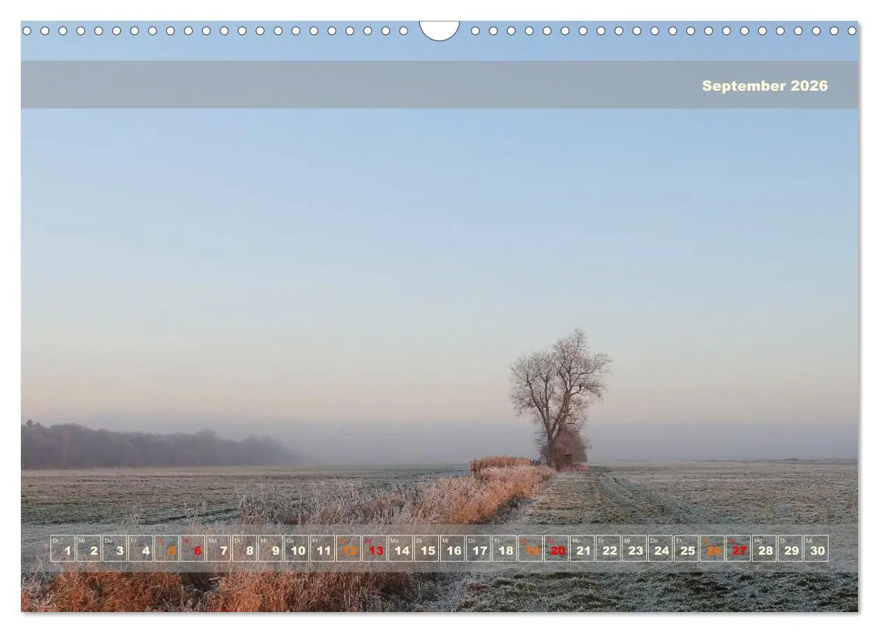 Bild: 9783457482513 | Licht im Land (Wandkalender 2026 DIN A3 quer), CALVENDO Monatskalender