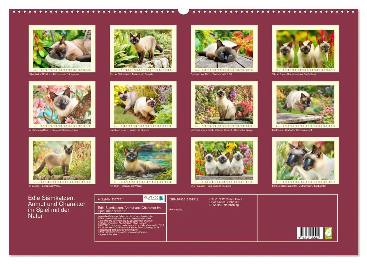 Bild: 9783516952513 | Edle Siamkatzen. Anmut und Charakter im Spiel mit der Natur...