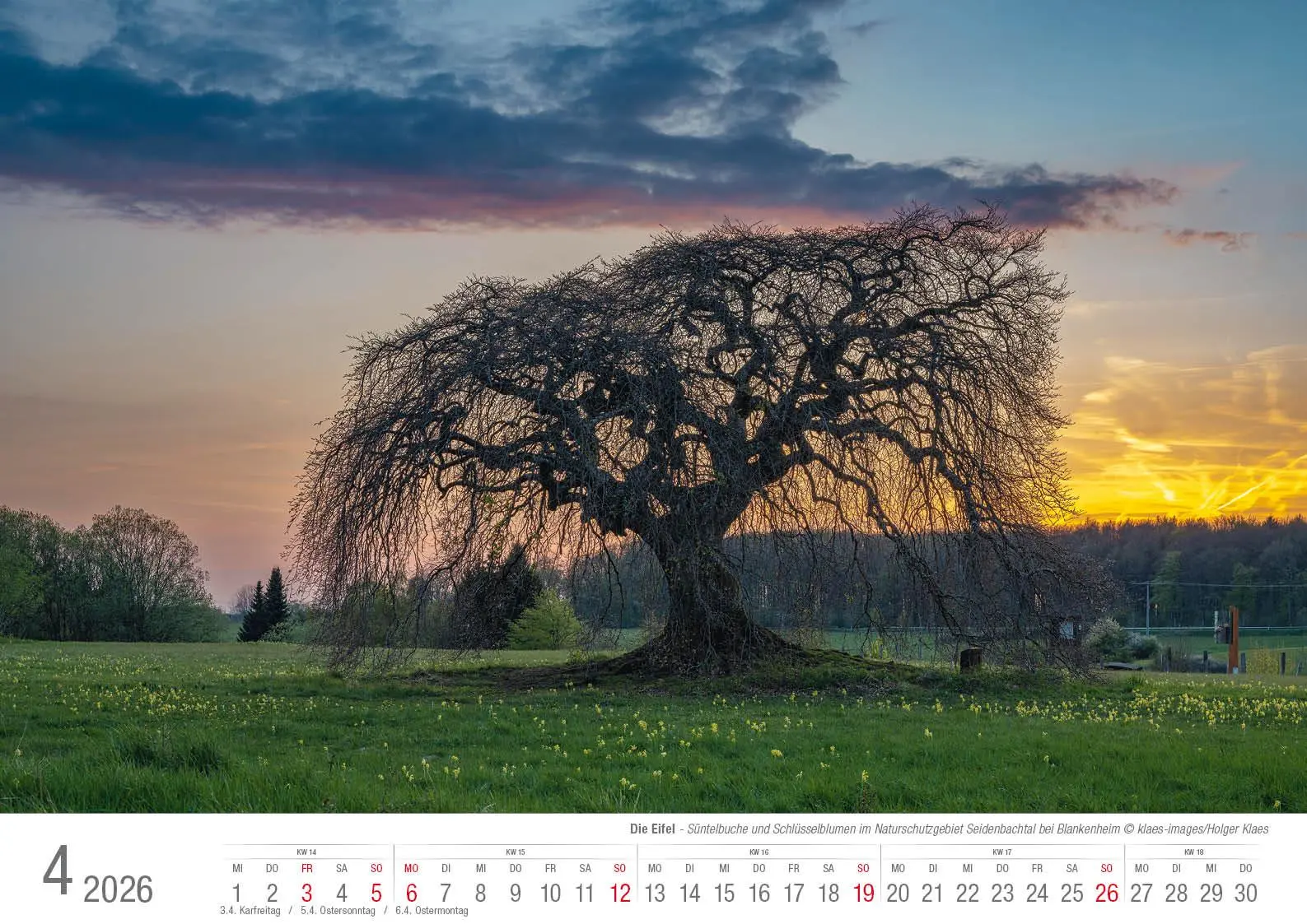 Bild: 9783965352513 | Eifel 2026 Bildkalender A3 Spiralbindung | Holger Klaes | Kalender