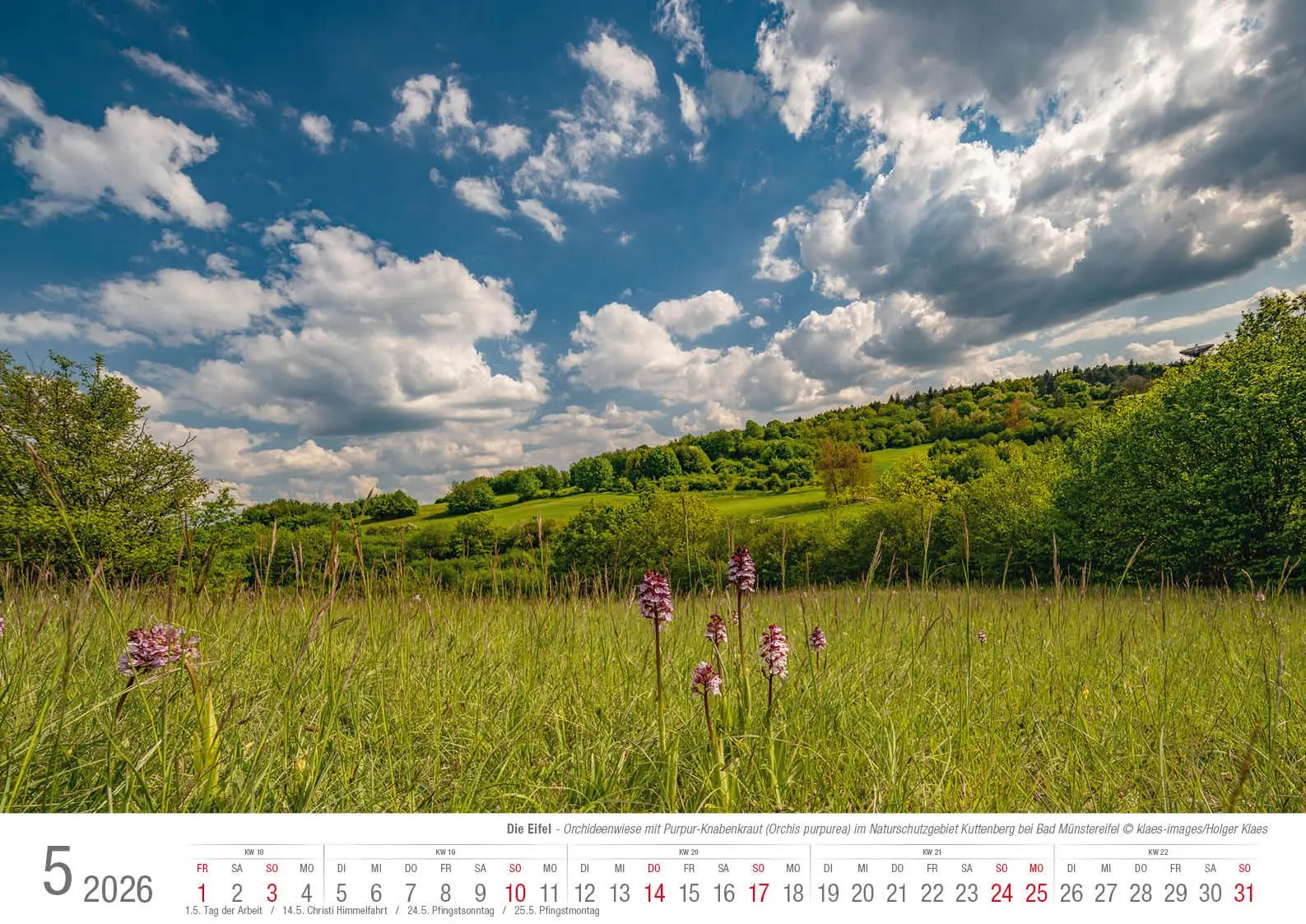 Bild: 9783965352513 | Eifel 2026 Bildkalender A3 Spiralbindung | Holger Klaes | Kalender