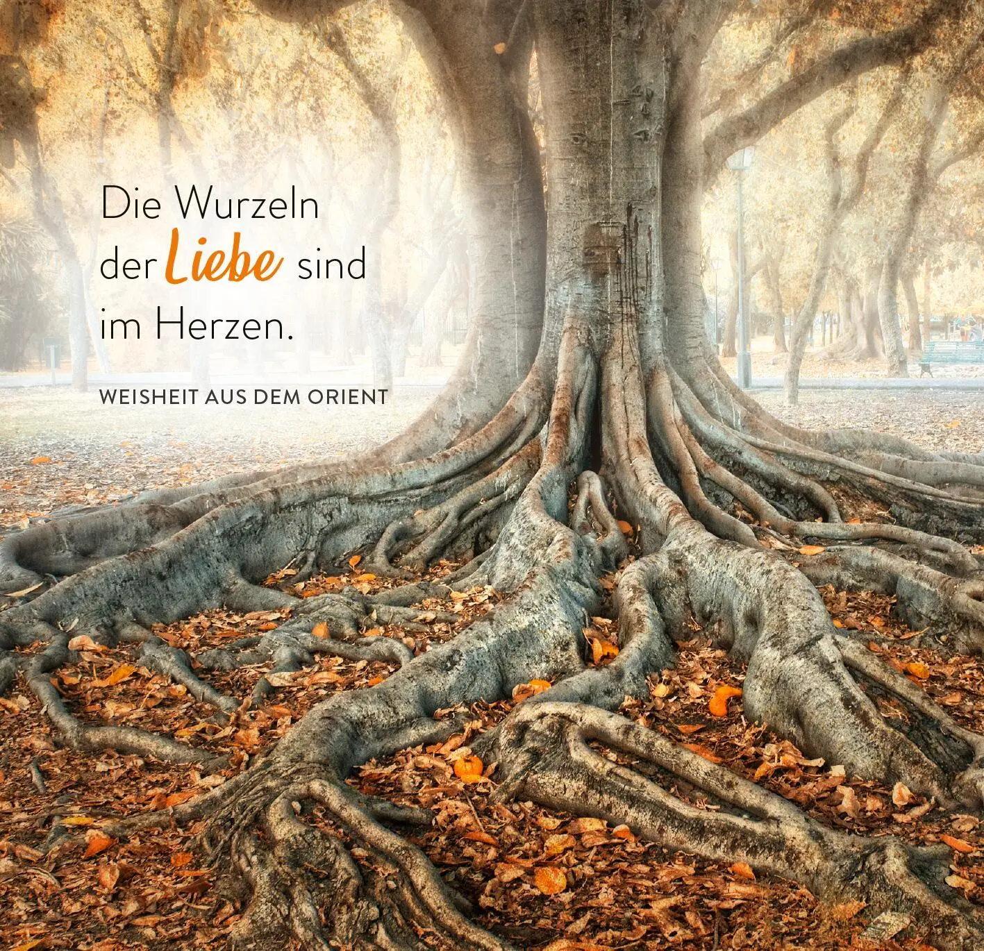 Bild: 9783845862613 | 365 Inspirationen aus der Natur | Taschenbuch | 365 Tage | 176 S.