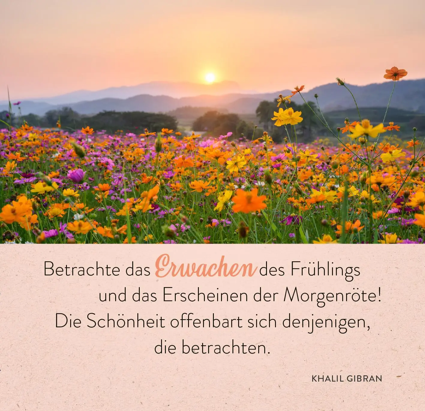 Bild: 9783845862613 | 365 Inspirationen aus der Natur | Taschenbuch | 365 Tage | 176 S.