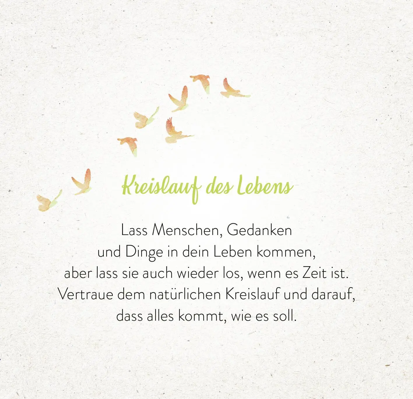 Bild: 9783845862613 | 365 Inspirationen aus der Natur | Taschenbuch | 365 Tage | 176 S.