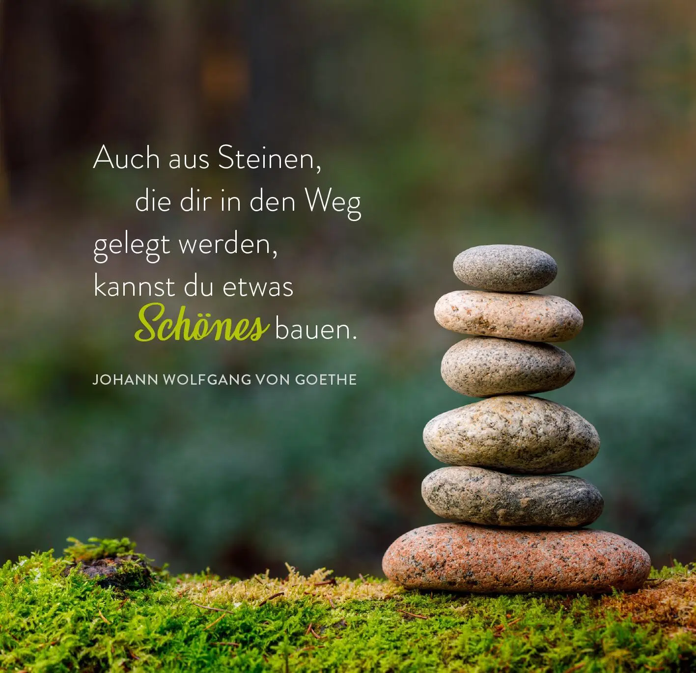 Bild: 9783845862613 | 365 Inspirationen aus der Natur | Taschenbuch | 365 Tage | 176 S.