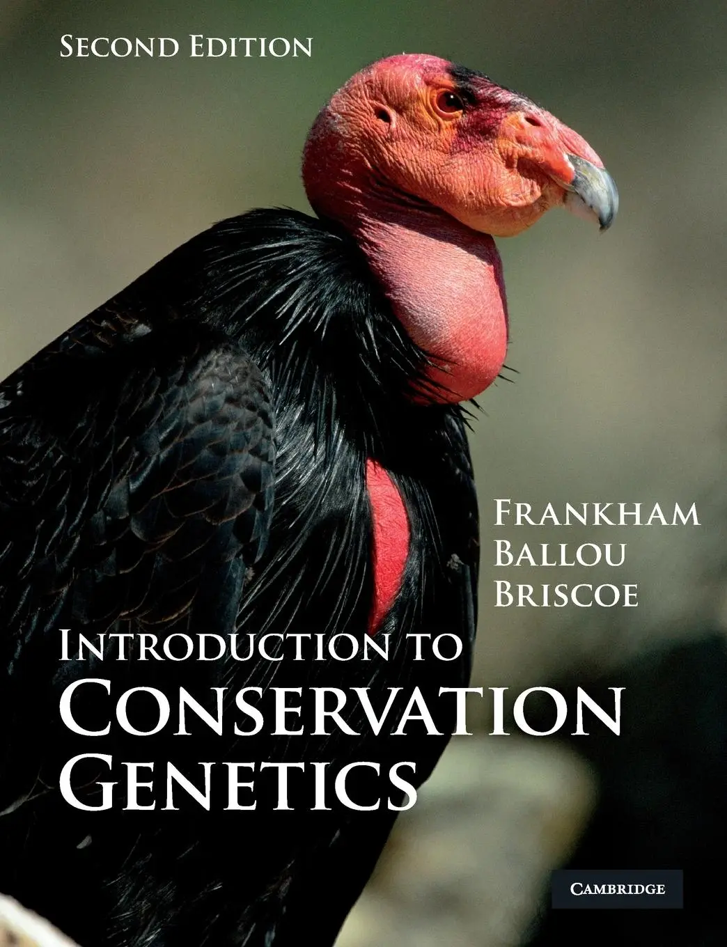 Cover: 9780521702713 | Introduction to Conservation Genetics | Richard Frankham (u. a.)