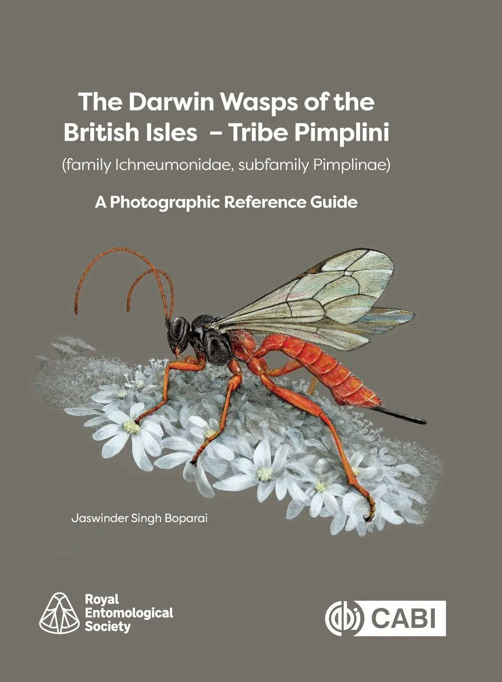 Cover: 9781836992813 | The Darwin Wasps of the British Isles - Tribe Pimplini (family...