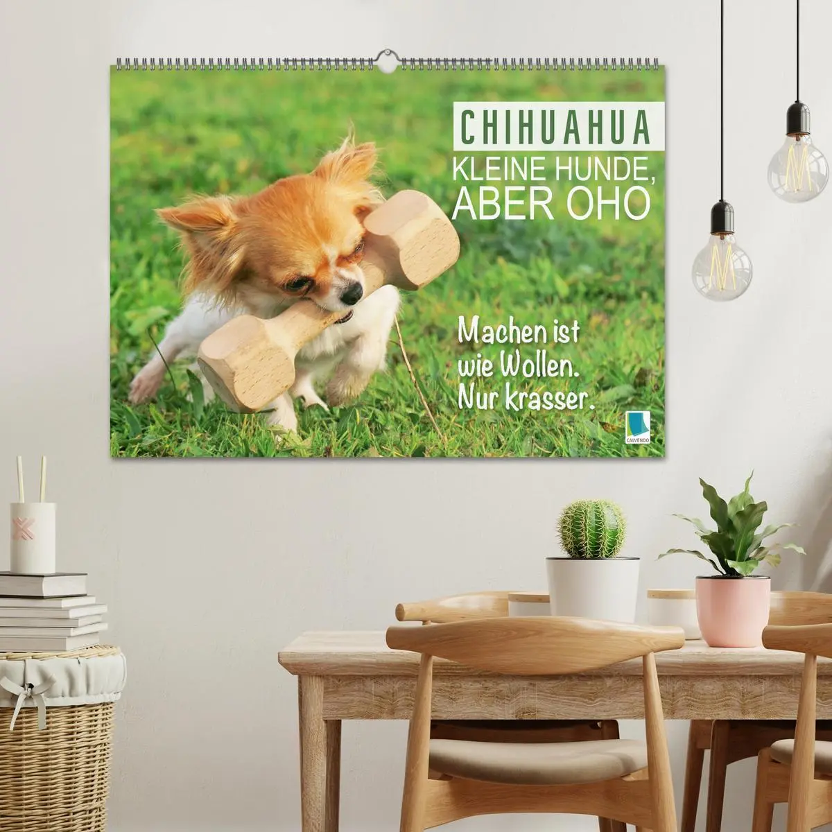Bild: 9783457382813 | Chihuahua: Kleine Hunde, aber oho (Wandkalender 2026 DIN A2 quer),...