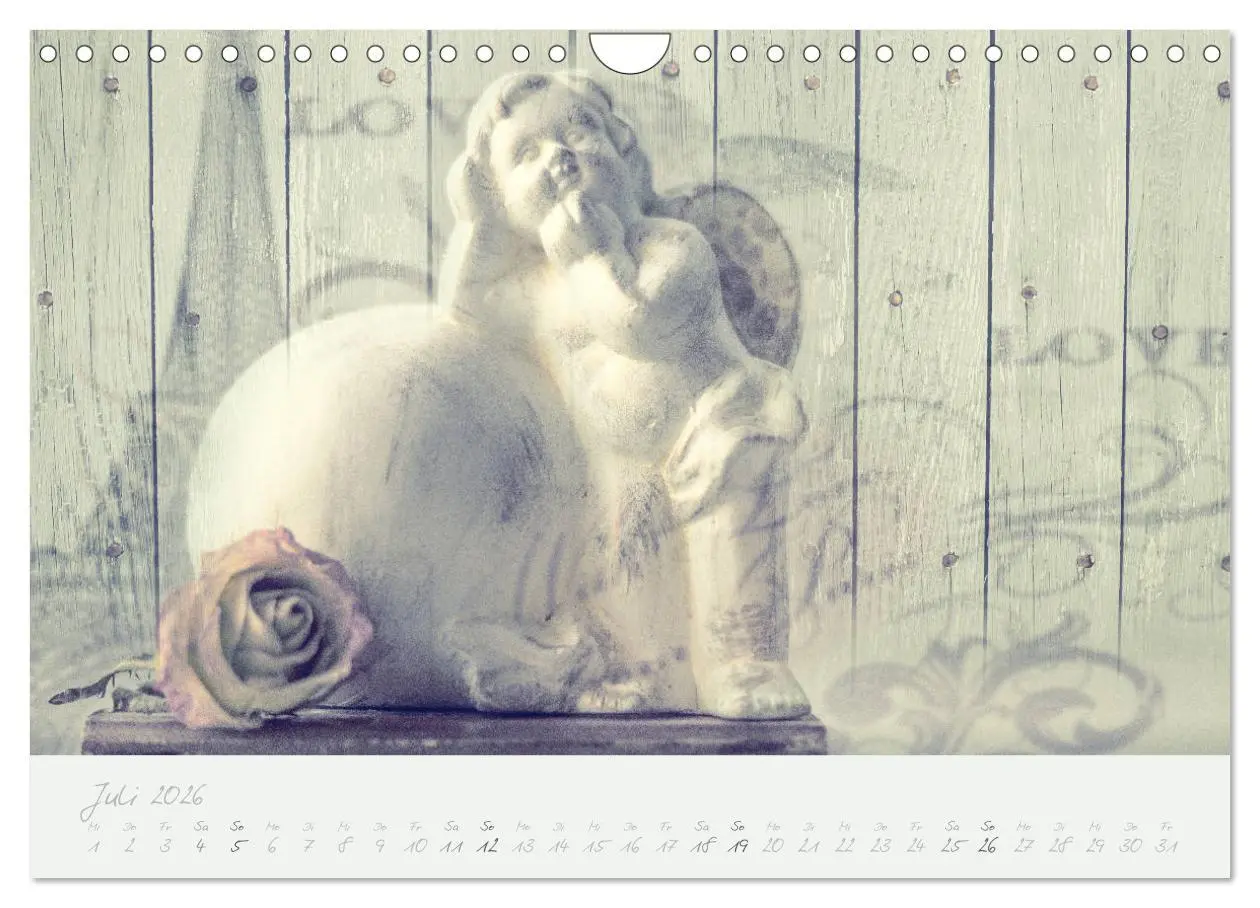 Bild: 9783457902813 | Shabby ist Chic (Wandkalender 2026 DIN A4 quer), CALVENDO...