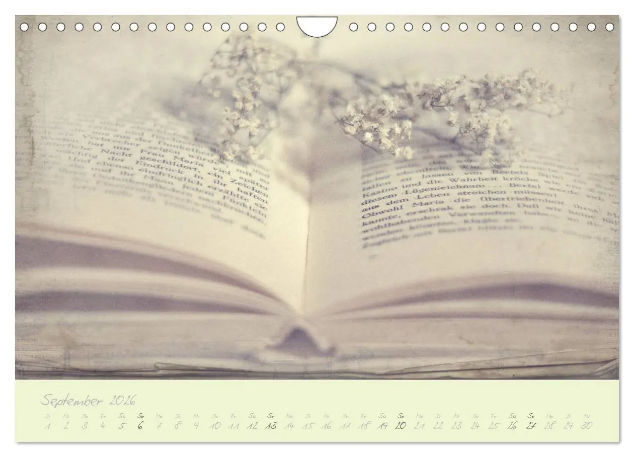 Bild: 9783457902813 | Shabby ist Chic (Wandkalender 2026 DIN A4 quer), CALVENDO...