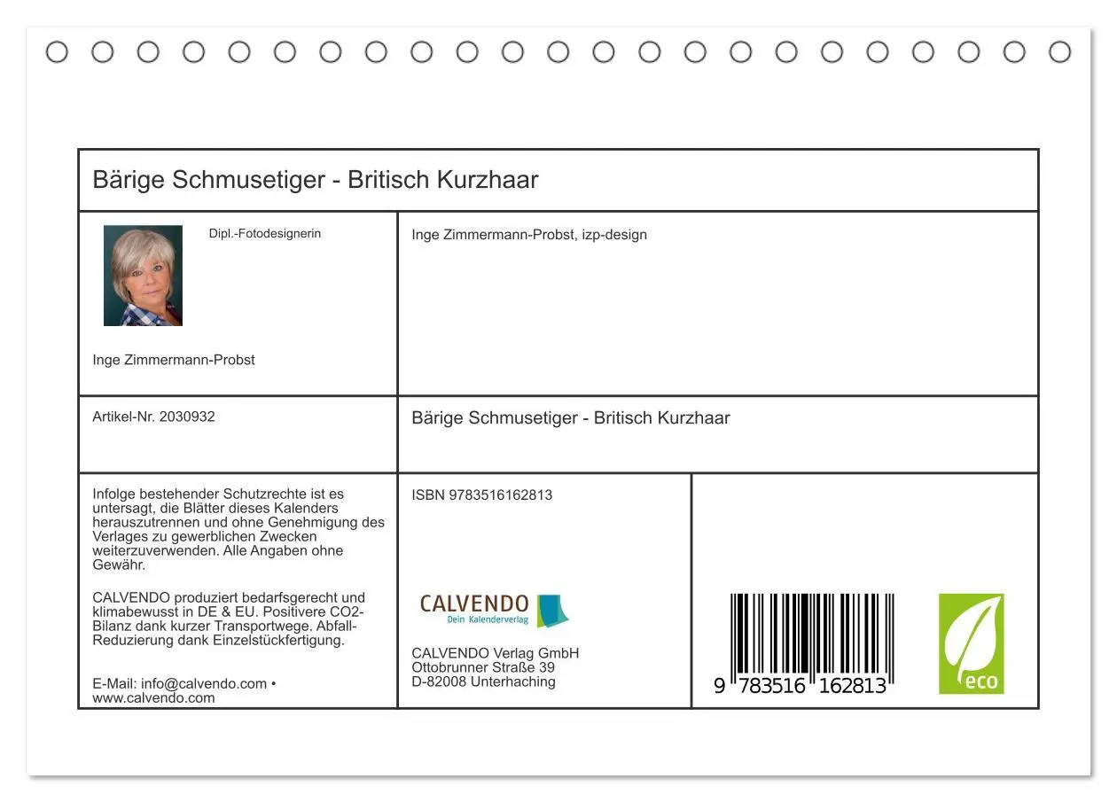 Bild: 9783516162813 | Bärige Schmusetiger - Britisch Kurzhaar (Tischkalender 2026 DIN A5...