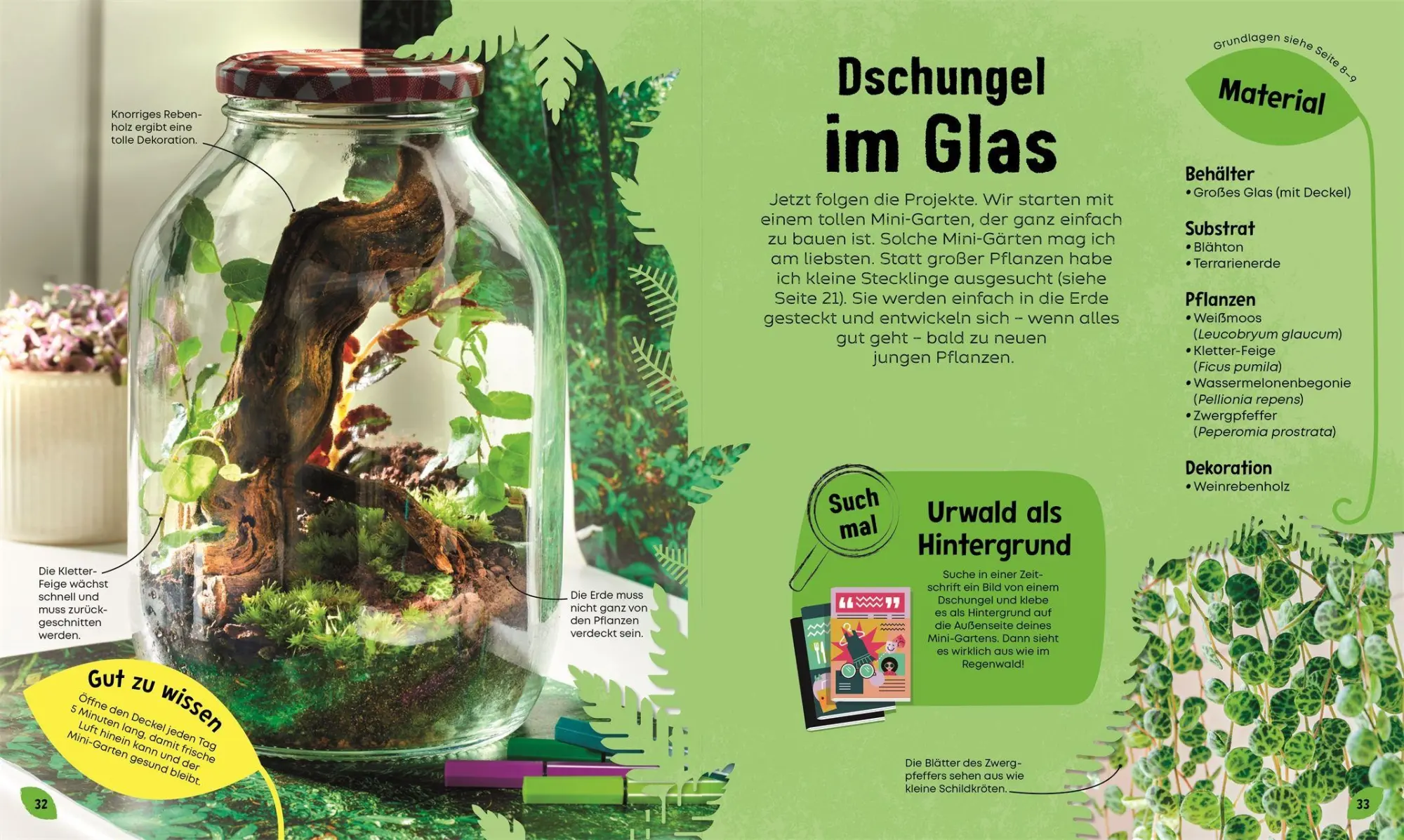 Bild: 9783831052813 | Mein Mini-Garten im Glas | Ben Newell | Buch | 72 S. | Deutsch | 2026