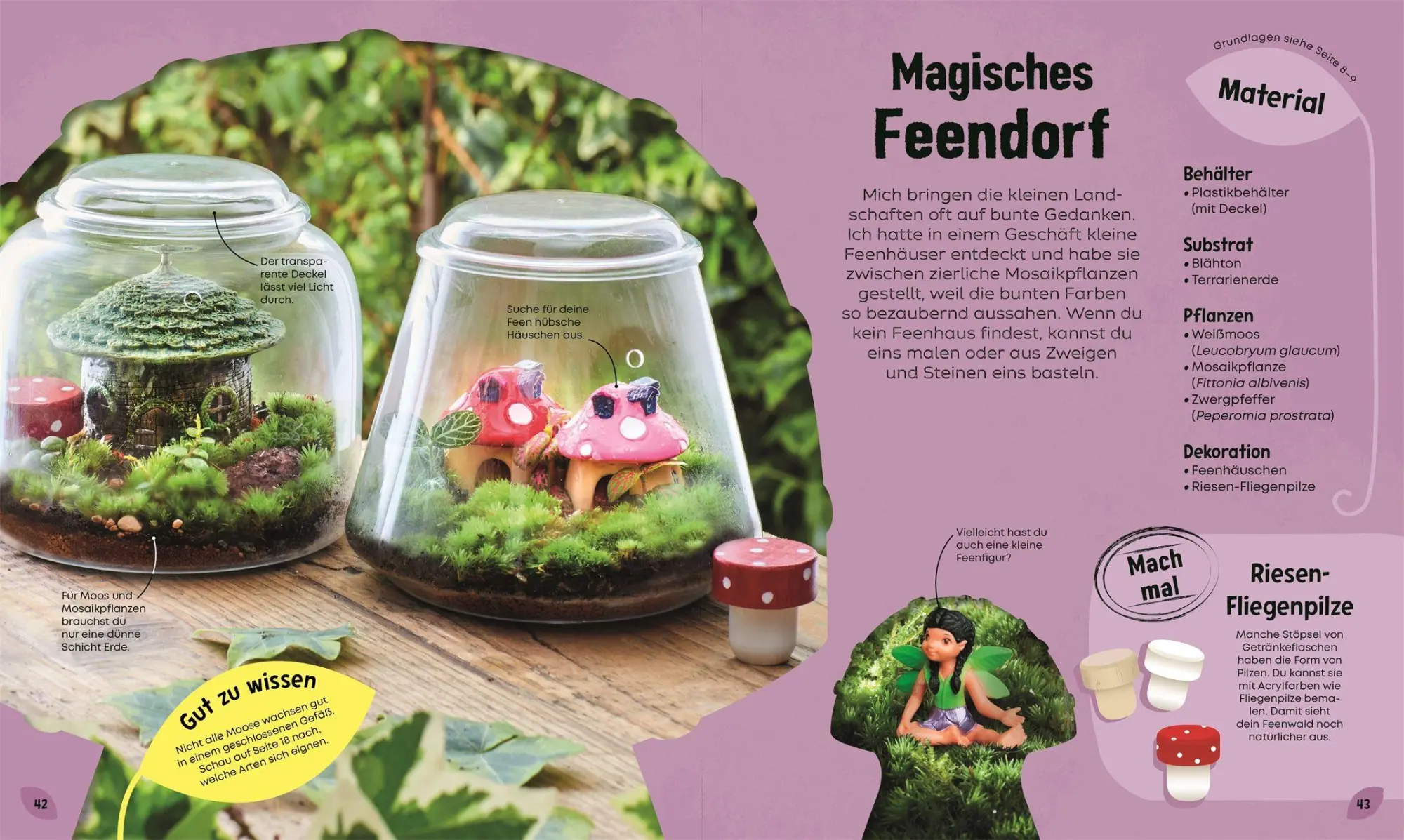 Bild: 9783831052813 | Mein Mini-Garten im Glas | Ben Newell | Buch | 72 S. | Deutsch | 2026