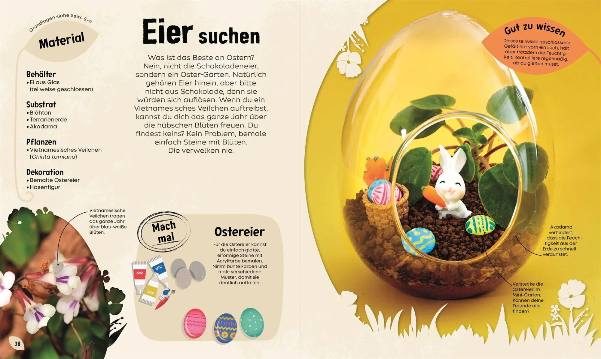 Bild: 9783831052813 | Mein Mini-Garten im Glas | Ben Newell | Buch | 72 S. | Deutsch | 2026