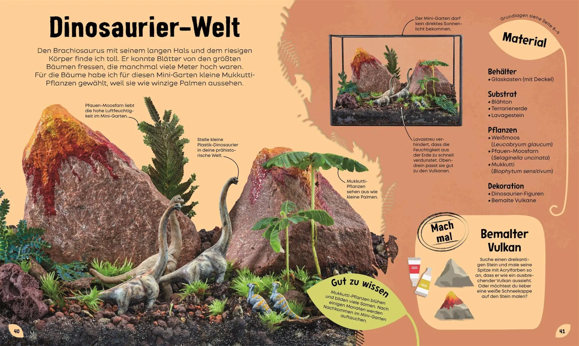 Bild: 9783831052813 | Mein Mini-Garten im Glas | Ben Newell | Buch | 72 S. | Deutsch | 2026