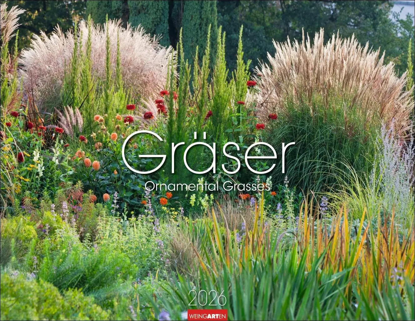 Cover: 9783839902813 | Gräser Kalender 2026 | Kalender | Spiralbindung | 14 S. | Deutsch