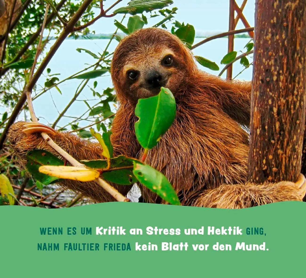 Bild: 9783848502813 | Tierisch gechillt! | Paulus Vennebusch | Taschenbuch | Spiralbindung
