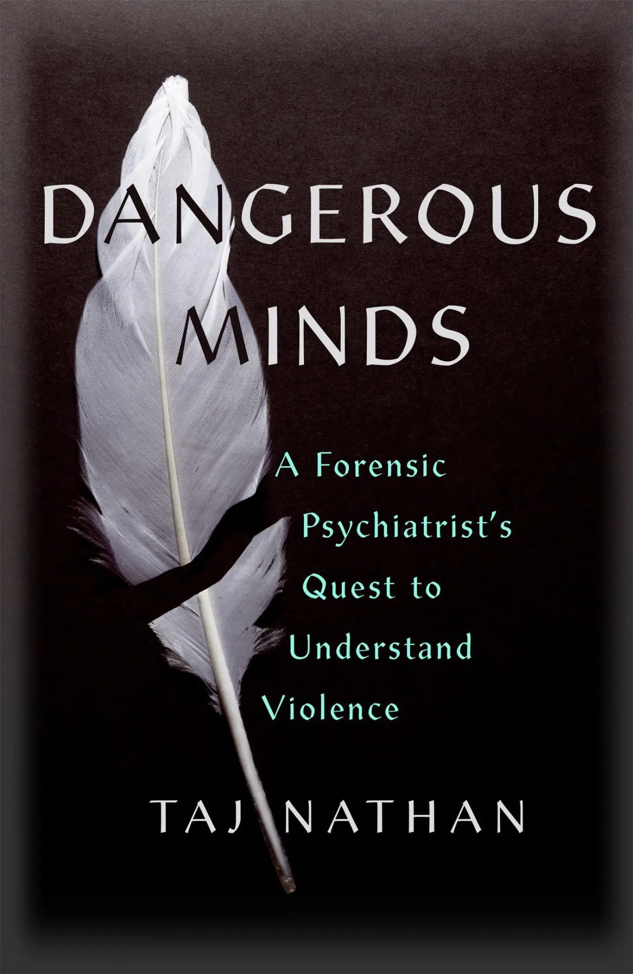 Cover: 9781529392913 | Dangerous Minds | Taj Nathan | Buch | Gebunden | Englisch | 2021