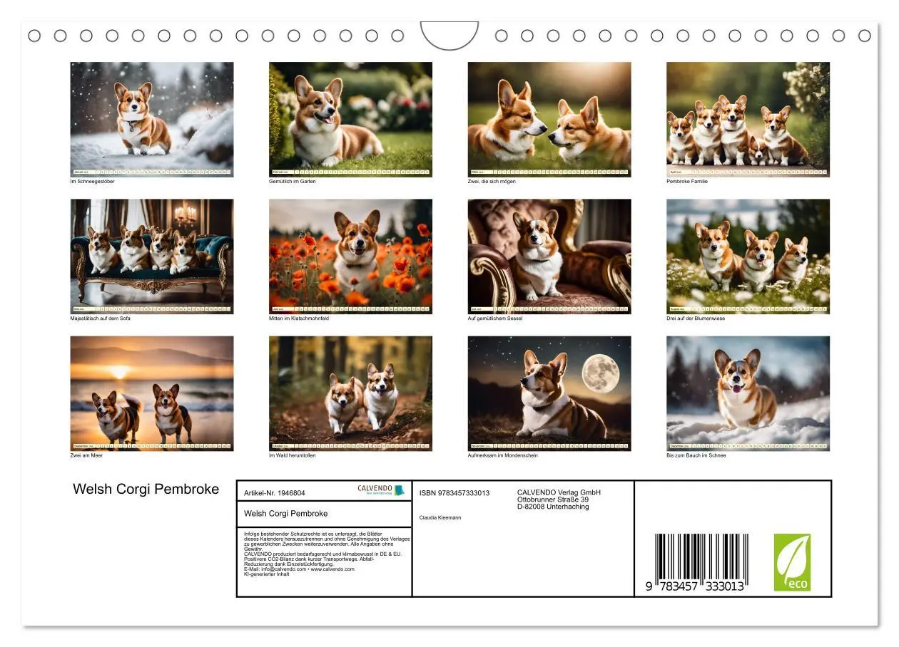 Bild: 9783457333013 | Welsh Corgi Pembroke (Wandkalender 2026 DIN A4 quer), CALVENDO...