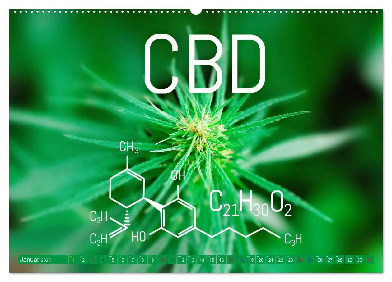 Bild: 9783457403013 | Faszination Cannabis (Wandkalender 2026 DIN A2 quer), CALVENDO...