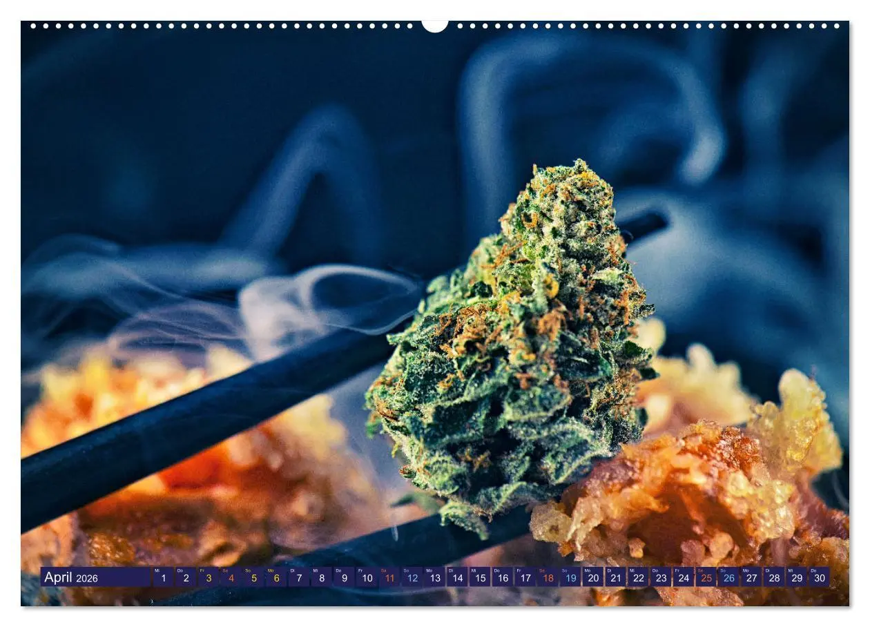 Bild: 9783457403013 | Faszination Cannabis (Wandkalender 2026 DIN A2 quer), CALVENDO...