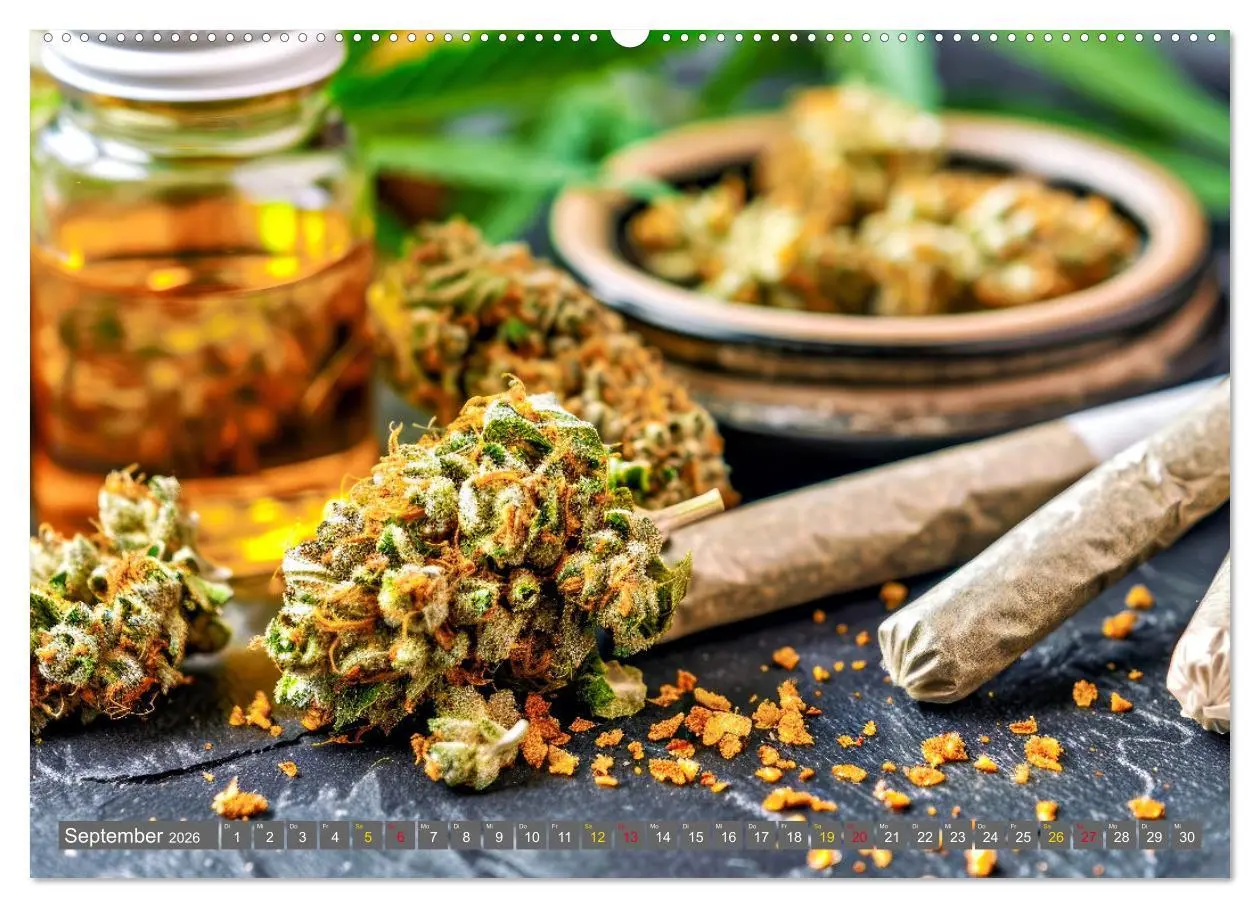 Bild: 9783457403013 | Faszination Cannabis (Wandkalender 2026 DIN A2 quer), CALVENDO...